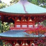 油山寺三重の塔