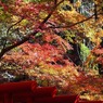 油山寺