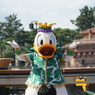 トロピカルスプラッシュ 2014