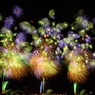 長岡花火大会2014