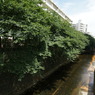 DSC00682