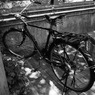 DSC00684