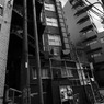 DSC00687