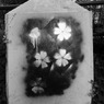 DSC00690