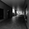 DSC00697