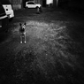 呉 #9