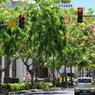 WAIKIKI ROAD