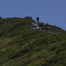 山頂目指して