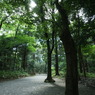 DSC00709