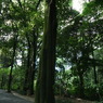 DSC00712