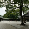 DSC00713