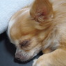 Zzz…