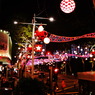 ORCHARD　IN CHRISTMAS 2