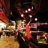 ORCHARD IN CHRISTMAS 15