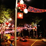 ORCHARD IN CHRISTMAS 16