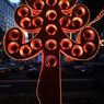 ORCHARD IN CHRISTMAS 17