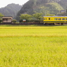色づく田園