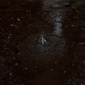 20090810-IMG_2965