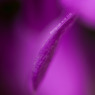 The world of macro　NO.8