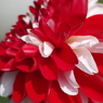 花かんざし