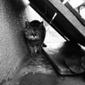 アジトに招かれて