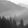 霧景2