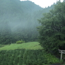 霧景1