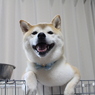 笑顔＾＾朝ごはん待ち