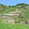 ドイツの旅　モーゼル川沿いの素敵な風景６