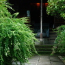 手をあわせ　萩の二色　いとおしむ（2010年卓上ｶﾚﾝﾀﾞｰ9月分）