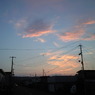おかえり。。。