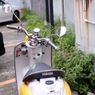 散歩