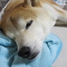 大雨です