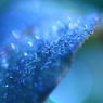 Art of morning dew Pt5