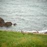 R0012560