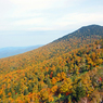 八甲田山紅葉