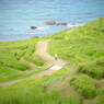 R0012513