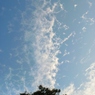北の朝雲・・・