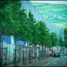 West Belfast #10