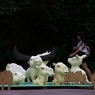 ＺＯＯ