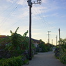 竹富島早朝　白い道