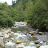 白山スーパー林道