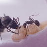 その3　よくやった