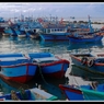 IMGP6676