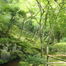 銀閣寺の庭