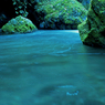 桐生川源流林