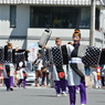 よさこい四万十2014　万々歳３　