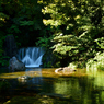 万博記念公園　日本庭園散策～⑤