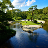 万博記念公園　日本庭園散策～⑦
