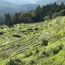 丸山千枚田①